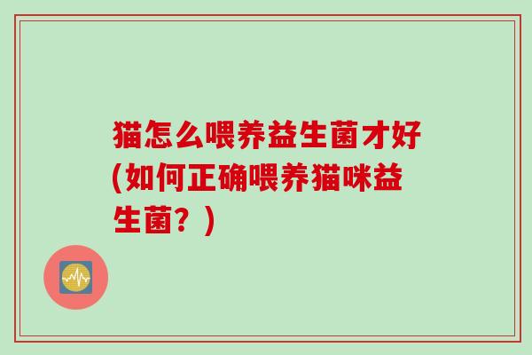 猫怎么喂养益生菌才好(如何正确喂养猫咪益生菌？)