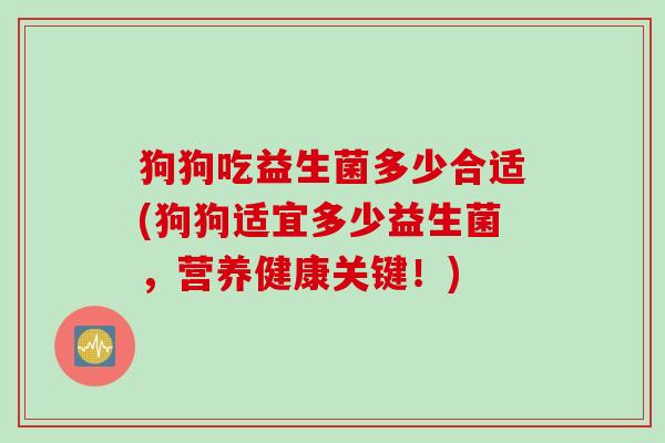 狗狗吃益生菌多少合适(狗狗适宜多少益生菌，营养健康关键！)