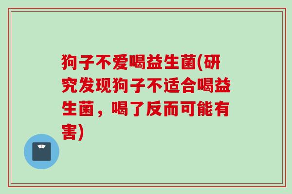 狗子不爱喝益生菌(研究发现狗子不适合喝益生菌,喝了反而可能有害) 狗子不爱喝益生菌(研究发现狗子不适合喝益生菌,喝了反而可能有害)