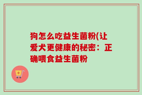 狗怎么吃益生菌粉(让爱犬更健康的秘密：正确喂食益生菌粉