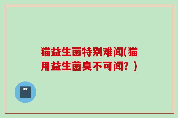 猫益生菌特别难闻(猫用益生菌臭不可闻？)