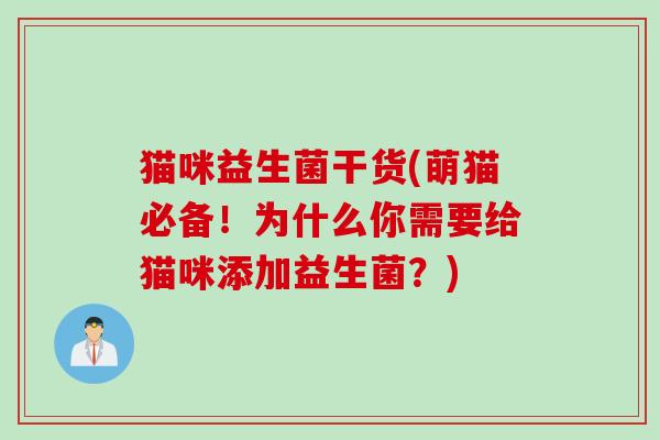 猫咪益生菌干货(萌猫必备！为什么你需要给猫咪添加益生菌？)