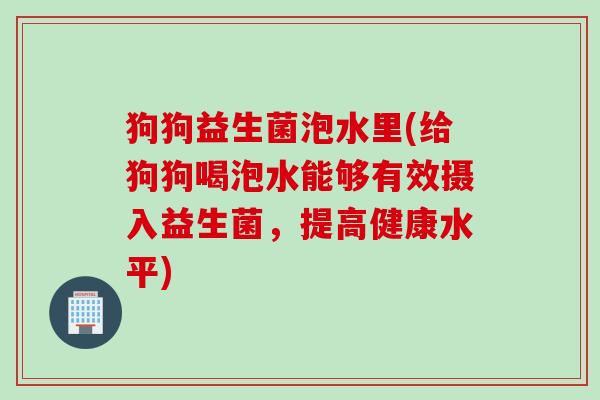 狗狗益生菌泡水里(给狗狗喝泡水能够有效摄入益生菌,提高健康水平) 狗狗益生菌泡水里(给狗狗喝泡水能够有效摄入益生菌,提高健康水平)