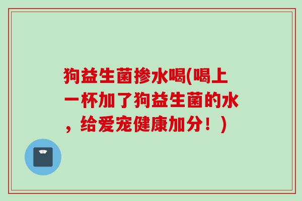 狗益生菌掺水喝(喝上一杯加了狗益生菌的水,给爱宠健康加分!) 狗益生菌掺水喝(喝上一杯加了狗益生菌的水,给爱宠健康加分!)