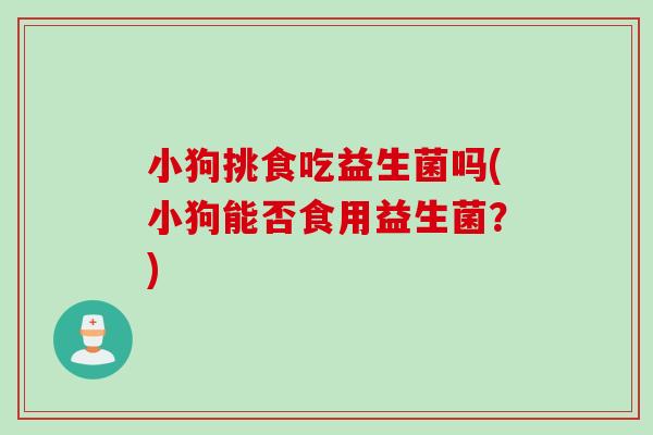 小狗挑食吃益生菌吗(小狗能否食用益生菌?) 小狗挑食吃益生菌吗(小狗能否食用益生菌?)