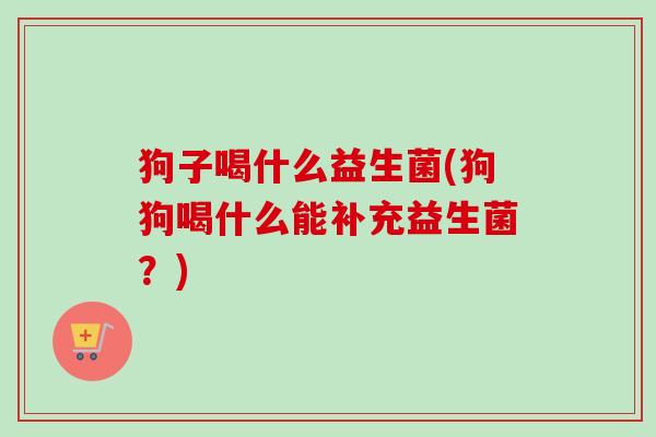 狗子喝什么益生菌(狗狗喝什么能补充益生菌？)