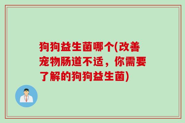 狗狗益生菌哪个(改善宠物肠道不适,你需要了解的狗狗益生菌) 狗狗益生菌哪个(改善宠物肠道不适,你需要了解的狗狗益生菌)