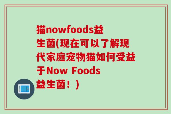 猫nowfoods益生菌(现在可以了解现代家庭宠物猫如何受益于Now Foods益生菌！)