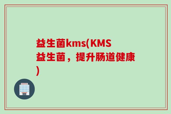 益生菌kms(KMS益生菌，提升肠道健康)