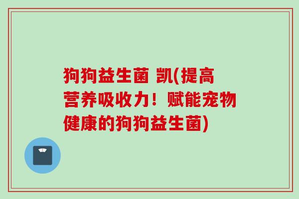 狗狗益生菌 凯(提高营养吸收力！赋能宠物健康的狗狗益生菌)