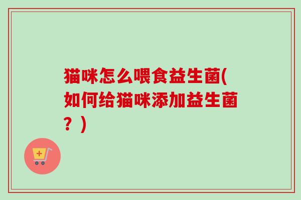 猫咪怎么喂食益生菌(如何给猫咪添加益生菌？)