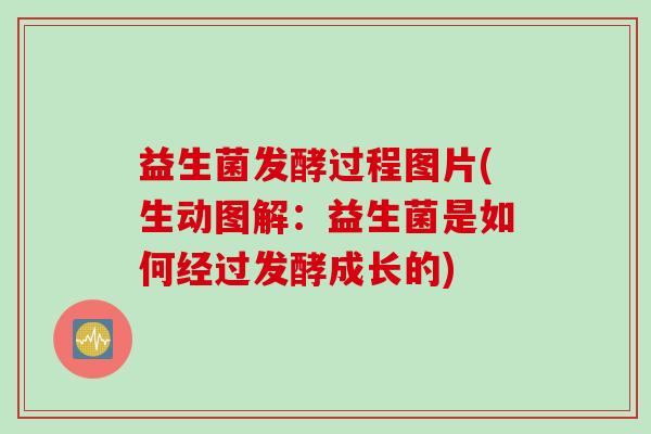 益生菌发酵过程图片(生动图解:益生菌是如何经过发酵成长的) 益生菌发酵过程图片(生动图解:益生菌是如何经过发酵成长的)