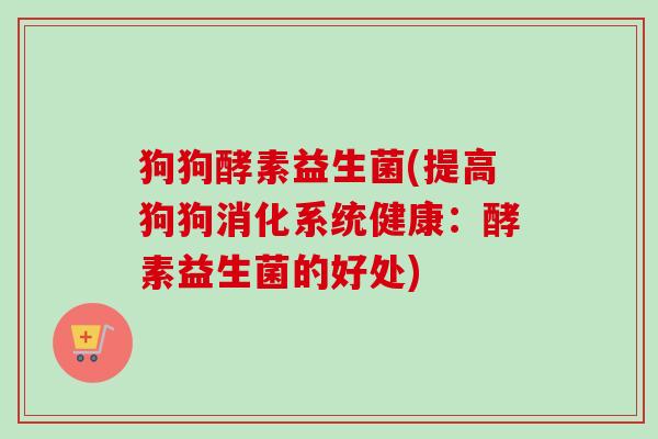 狗狗酵素益生菌(提高狗狗消化系统健康：酵素益生菌的好处)