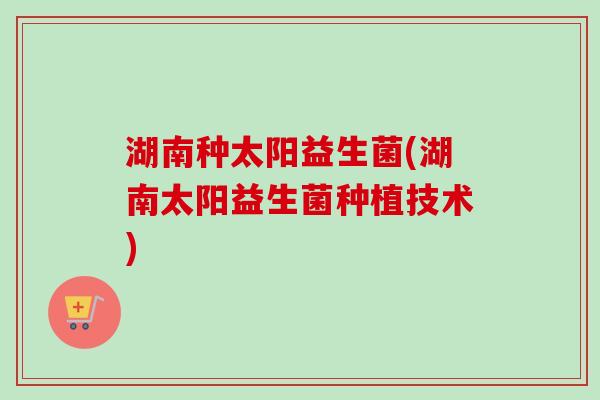 湖南种太阳益生菌(湖南太阳益生菌种植技术) 湖南种太阳益生菌(湖南太阳益生菌种植技术)