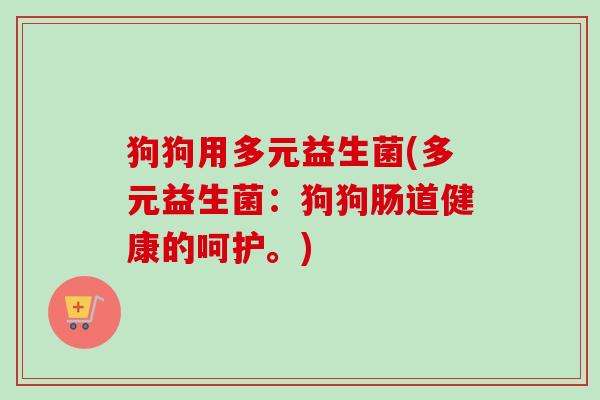 狗狗用多元益生菌(多元益生菌:狗狗肠道健康的呵护。) 狗狗用多元益生菌(多元益生菌:狗狗肠道健康的呵护。)