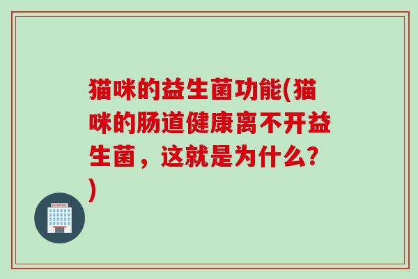 猫咪的益生菌功能(猫咪的肠道健康离不开益生菌,这就是为什么?) 猫咪的益生菌功能(猫咪的肠道健康离不开益生菌,这就是为什么?)