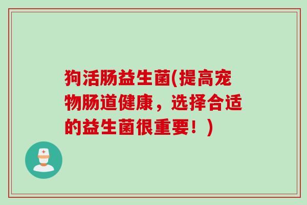 狗活肠益生菌(提高宠物肠道健康，选择合适的益生菌很重要！)