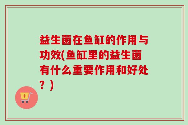 益生菌在鱼缸的作用与功效(鱼缸里的益生菌有什么重要作用和好处？)