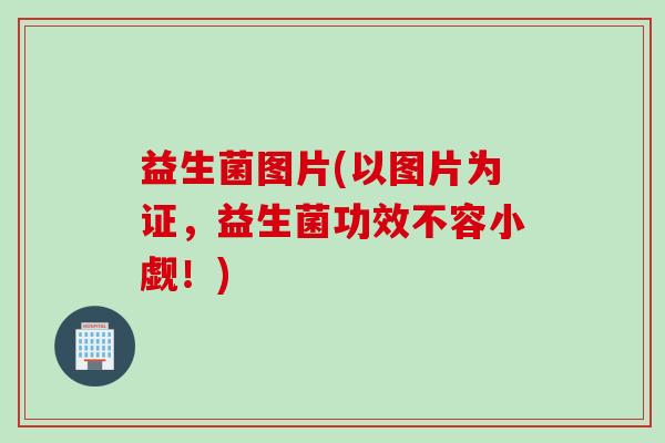 益生菌图片(以图片为证,益生菌功效不容小觑!) 益生菌图片(以图片为证,益生菌功效不容小觑!)