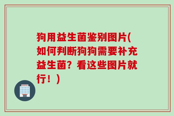 狗用益生菌鉴别图片(如何判断狗狗需要补充益生菌?看这些图片就行!) 狗用益生菌鉴别图片(如何判断狗狗需要补充益生菌?看这些图片就行!)