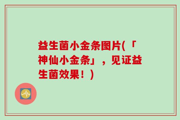 益生菌小金条图片(「神仙小金条」，见证益生菌效果！)