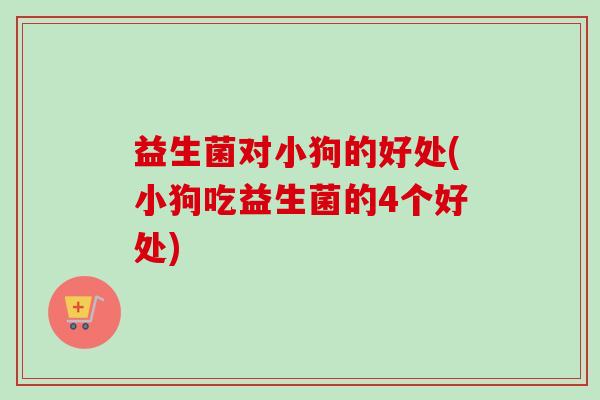 益生菌对小狗的好处(小狗吃益生菌的4个好处)