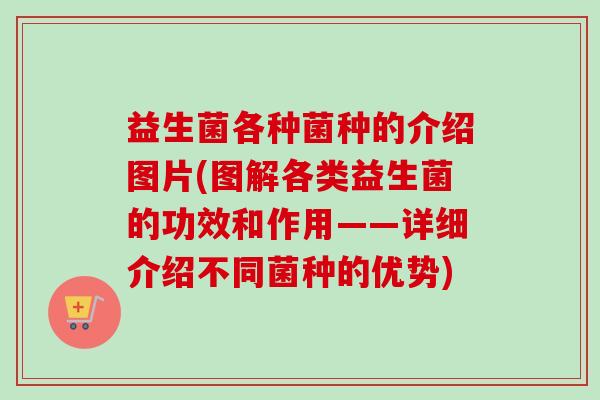 益生菌各种菌种的介绍图片(图解各类益生菌的功效和作用——详细介绍不同菌种的优势)
