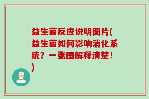 益生菌反应说明图片(益生菌如何影响消化系统？一张图解释清楚！)