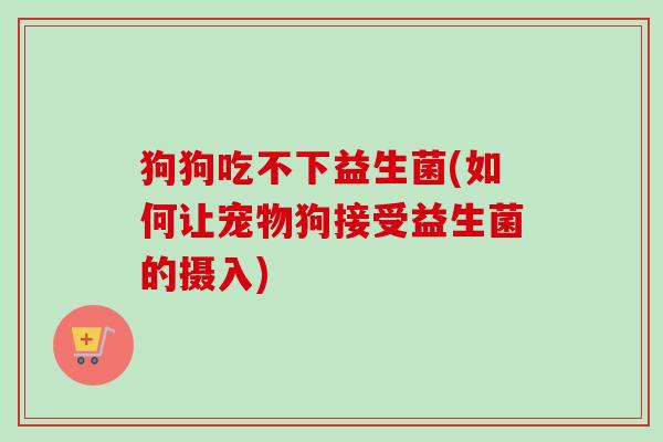 狗狗吃不下益生菌(如何让宠物狗接受益生菌的摄入)