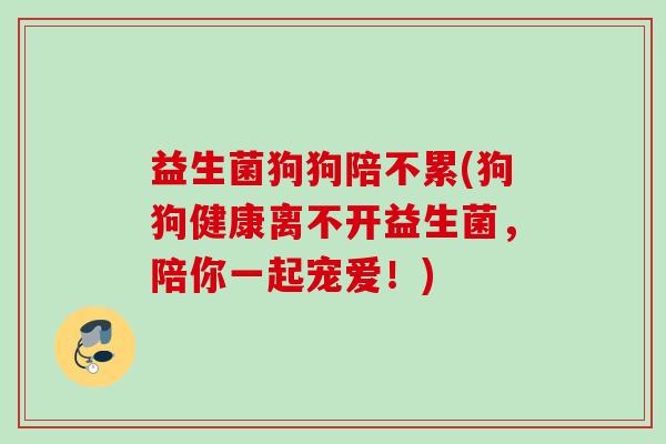 益生菌狗狗陪不累(狗狗健康离不开益生菌,陪你一起宠爱!) 益生菌狗狗陪不累(狗狗健康离不开益生菌,陪你一起宠爱!)