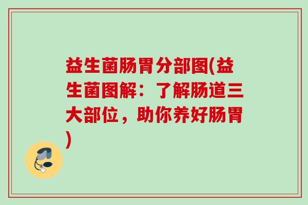 益生菌肠胃分部图(益生菌图解:了解肠道三大部位,助你养好肠胃) 益生菌肠胃分部图(益生菌图解:了解肠道三大部位,助你养好肠胃)