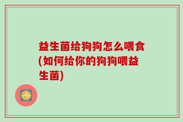 益生菌给狗狗怎么喂食(如何给你的狗狗喂益生菌)