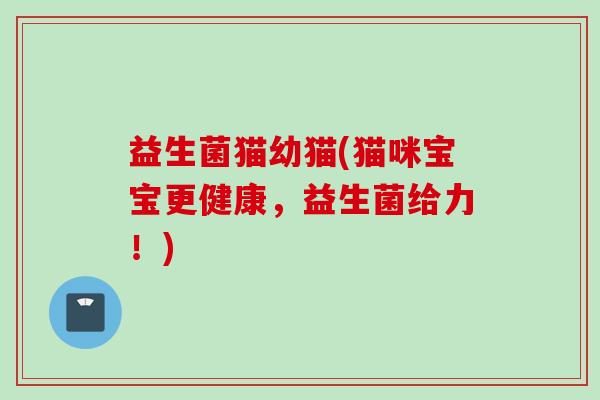 益生菌猫幼猫(猫咪宝宝更健康,益生菌给力!) 益生菌猫幼猫(猫咪宝宝更健康,益生菌给力!)