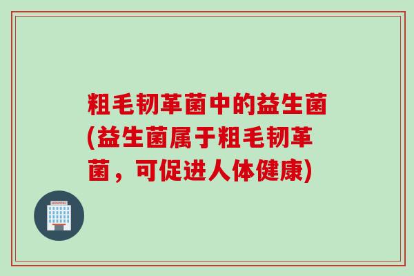 粗毛韧革菌中的益生菌(益生菌属于粗毛韧革菌,可促进人体健康) 粗毛韧革菌中的益生菌(益生菌属于粗毛韧革菌,可促进人体健康)