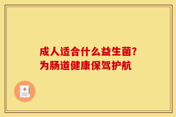 成人适合什么益生菌？为肠道健康保驾护航