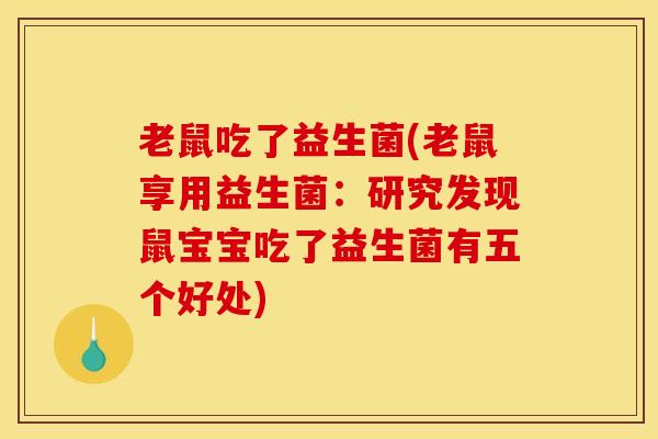 老鼠吃了益生菌(老鼠享用益生菌：研究发现鼠宝宝吃了益生菌有五个好处)