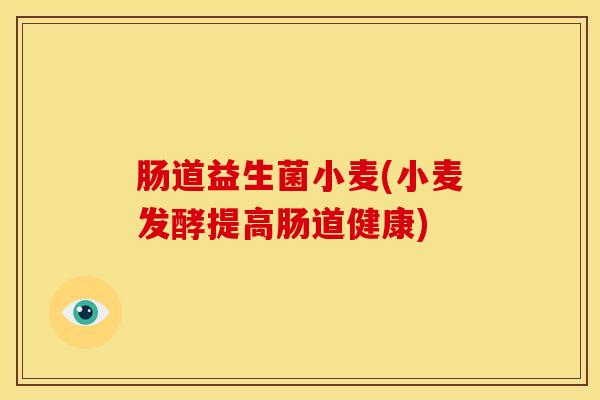 肠道益生菌小麦(小麦发酵提高肠道健康)