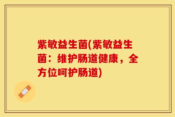 紫敏益生菌(紫敏益生菌：维护肠道健康，全方位呵护肠道)