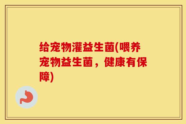 给宠物灌益生菌(喂养宠物益生菌，健康有保障)