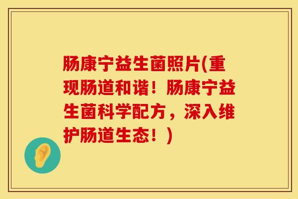 肠康宁益生菌照片(重现肠道和谐！肠康宁益生菌科学配方，深入维护肠道生态！)