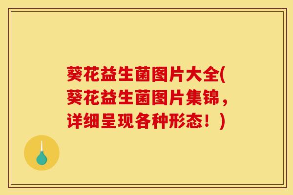 葵花益生菌图片大全(葵花益生菌图片集锦，详细呈现各种形态！)