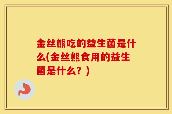 金丝熊吃的益生菌是什么(金丝熊食用的益生菌是什么?) 金丝熊吃的益生菌是什么(金丝熊食用的益生菌是什么?)