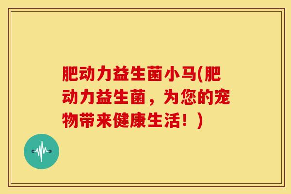 肥动力益生菌小马(肥动力益生菌，为您的宠物带来健康生活！)