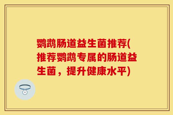 鹦鹉肠道益生菌推荐(推荐鹦鹉专属的肠道益生菌,提升健康水平) 鹦鹉肠道益生菌推荐(推荐鹦鹉专属的肠道益生菌,提升健康水平)