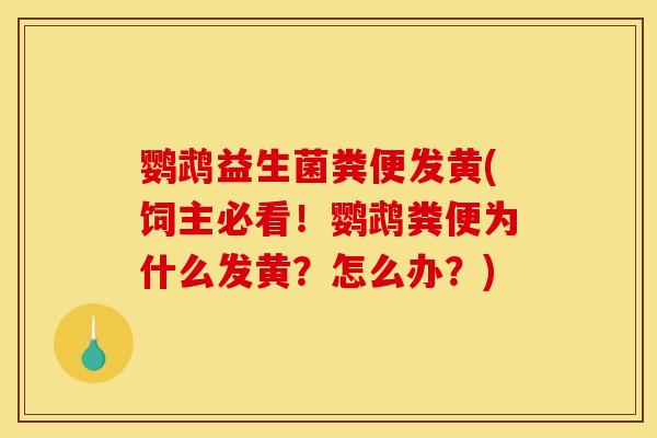 鹦鹉益生菌粪便发黄(饲主必看！鹦鹉粪便为什么发黄？怎么办？)
