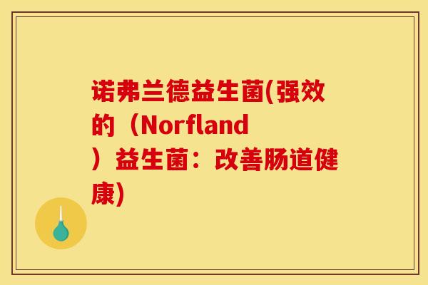 诺弗兰德益生菌(强效的（Norfland）益生菌：改善肠道健康)