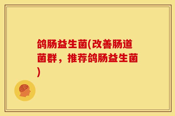 鸽肠益生菌(改善肠道菌群，推荐鸽肠益生菌)