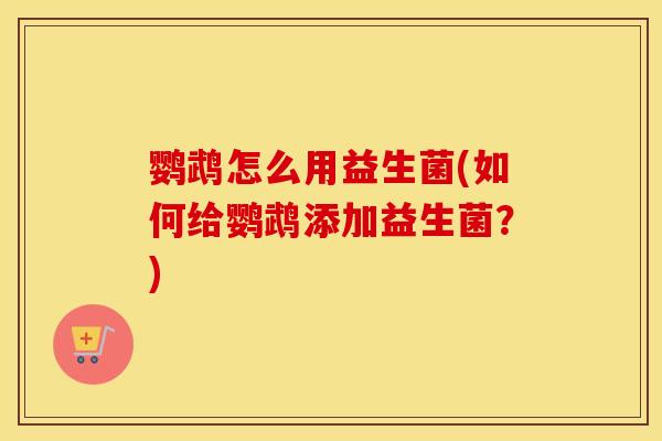 鹦鹉怎么用益生菌(如何给鹦鹉添加益生菌？)