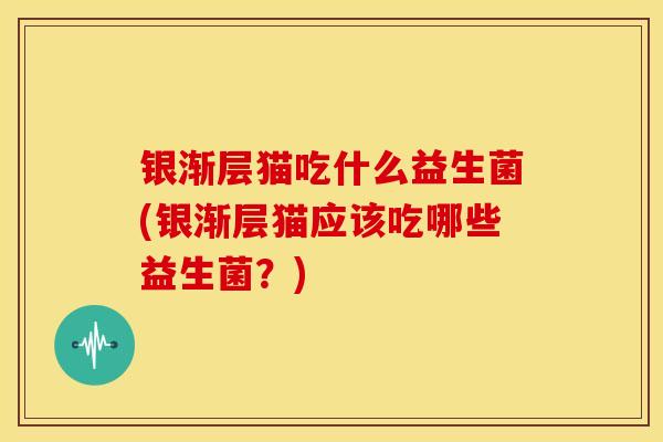 银渐层猫吃什么益生菌(银渐层猫应该吃哪些益生菌？)