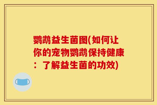 鹦鹉益生菌图(如何让你的宠物鹦鹉保持健康：了解益生菌的功效)